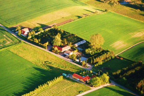 Luftfoto af Peters Planteskole