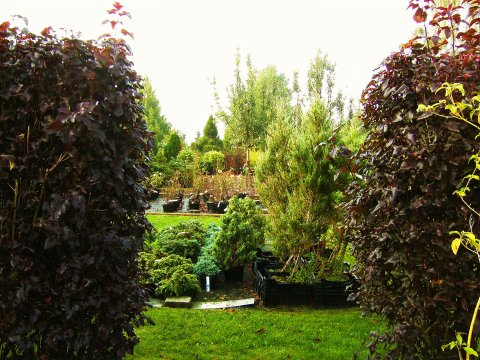 Plantelager Plantelager