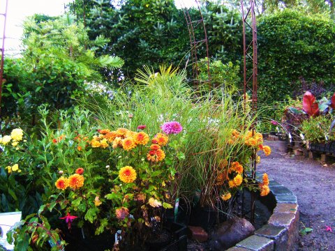 udstillingsbed med årstidens blomstrende planter